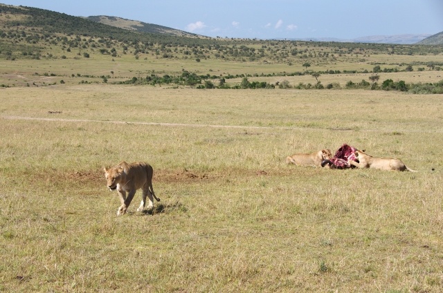 28fa6c4496039fa06d3370b0f9997006s | 日本白井新聞