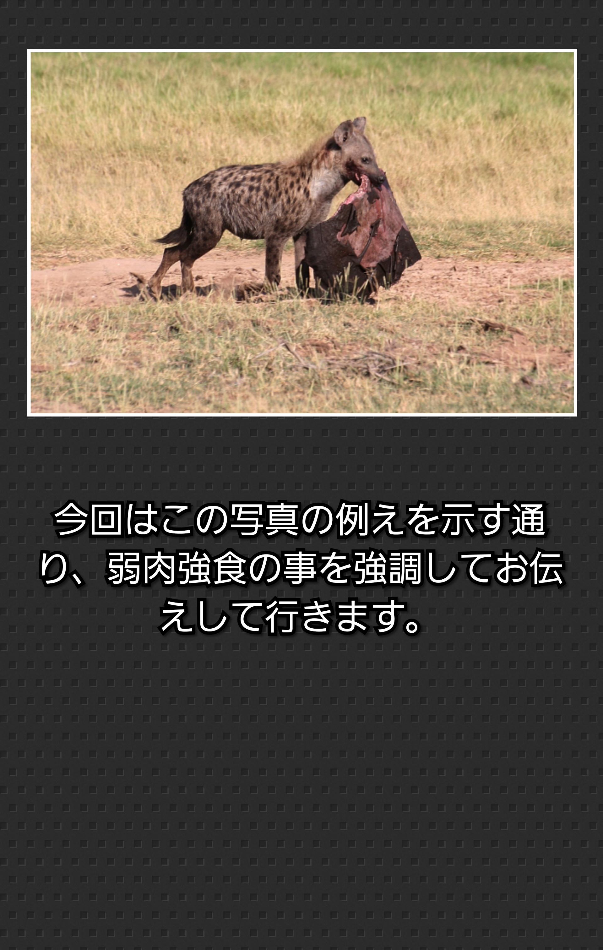 Photocollage20190801213114253 | 日本白井新聞