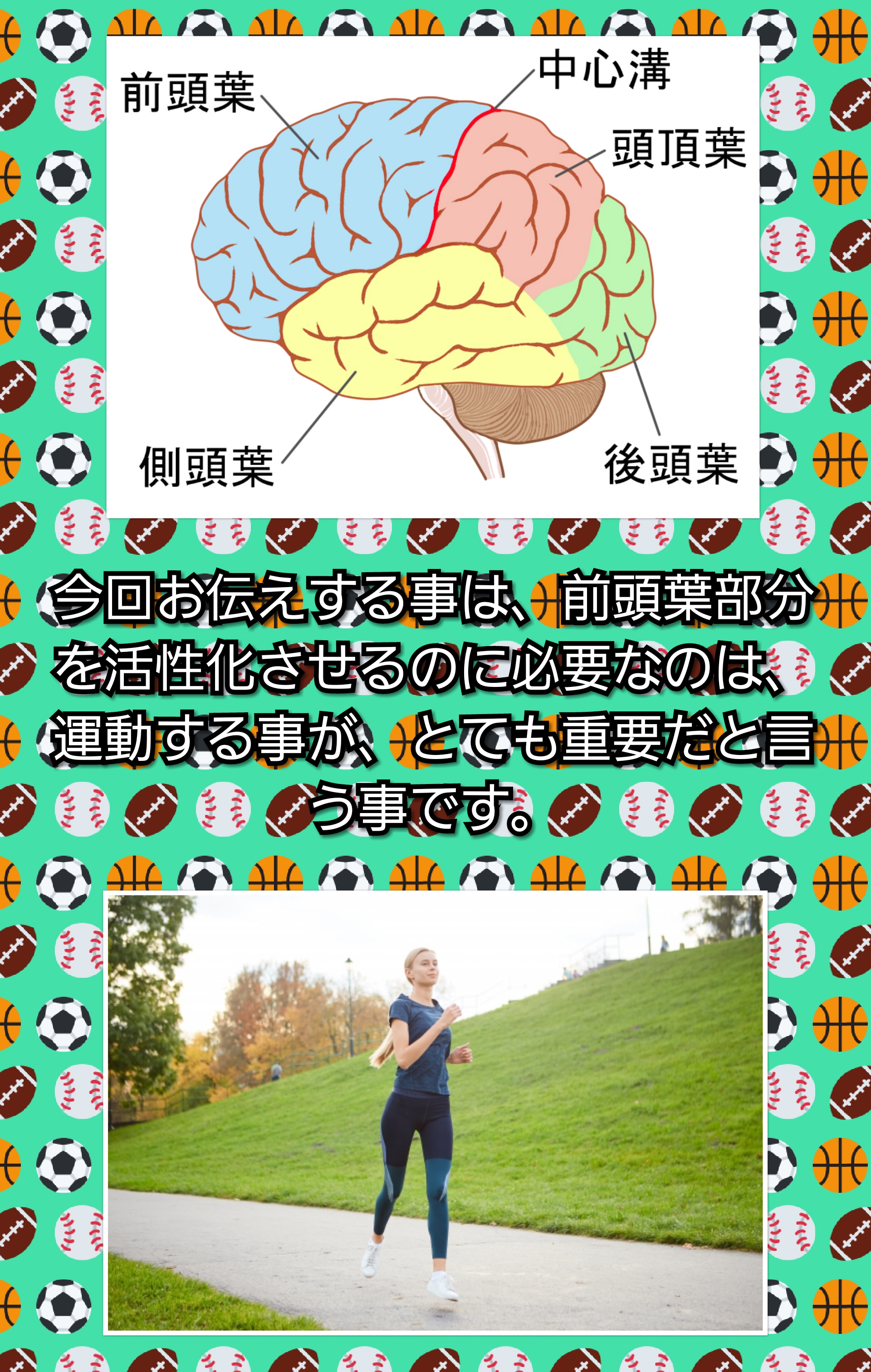 PhotoCollage_20190814_095922206 | 日本白井新聞