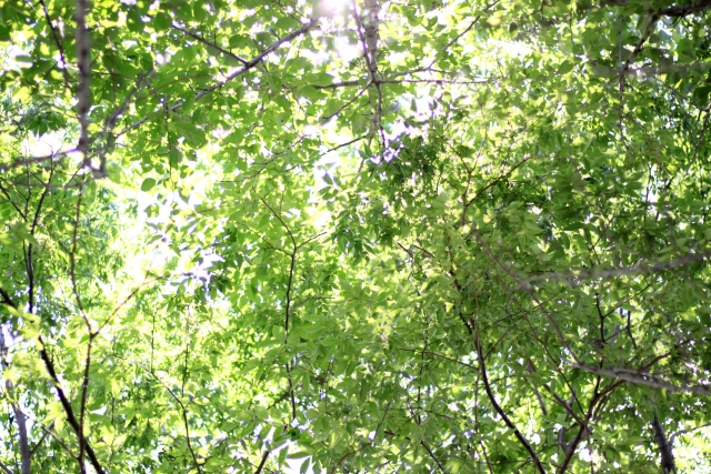 Ded87d4d103353737efd0aa0e0816d9es | 日本白井新聞