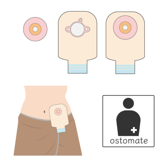 1015170 | 日本白井新聞