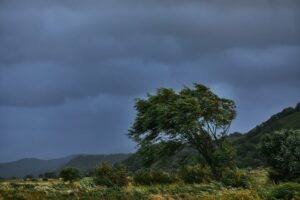 tengyart-XsV6H_FfzwQ-unsplash | 日本白井新聞