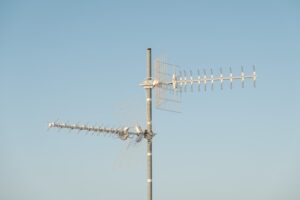 nassim-wahba-w3TjswQi1g4-unsplash | 日本白井新聞